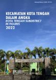 Kota Tengah Subdistrict In Figures 2022